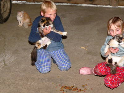 Bild 9 aus  Ferienhof Kopp