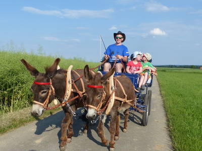 Bild 16 aus  Freizeit- und Ferienreiterhof Odenwald