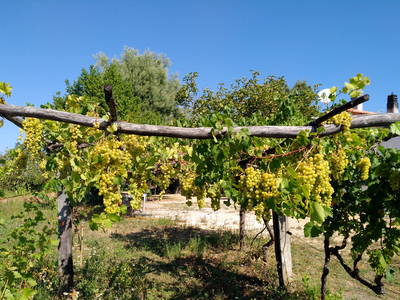 Bild 4 aus  Landhaus in der Toskana