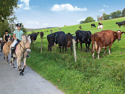 Bild 5 aus  Ferienhof Belke-Spork