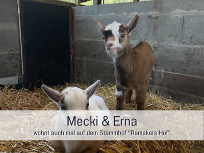 Bild 32 aus  Meine Schule Sehlingen