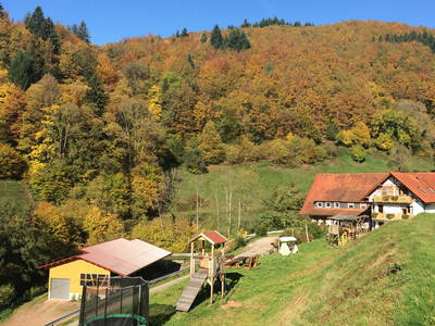 Bild 3 aus  Springhansenhof im Schwarzwald
