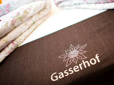 Bild 3 aus  Gasserhof B&B - Appartement