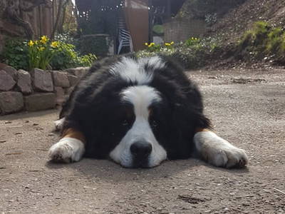 Bild 16 aus  Weberhof