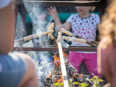 Bild 38 aus  LINDENHOF- BAUERNHOFURLAUB / OSTSEENÄHE