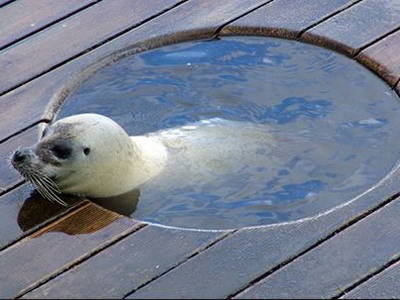 Bild 30 aus  Ferienhof Op de Warft