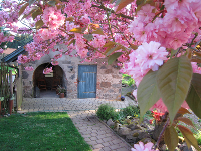 Bild 10 aus  KnallerbsenHof