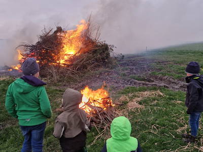 Bild 52 aus  Küstenhof Oldewurtel