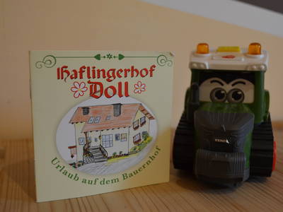 Wenn du nach Hause fährst, bekommst du auch ein Haflingerhof -Buch
