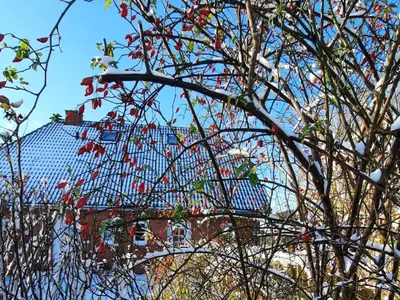 Bild 16 aus  Lieblingsnest  – Ferienwohnungen am Katinger Watt