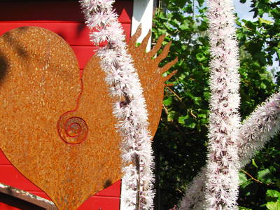 Bild 19 aus  Franzen Hof  Koch