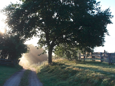 Bild 13 aus  Waldhof Bruchmühle