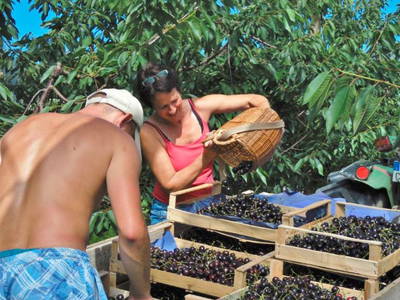 Bild 11 aus  Ferienhaus Ganal