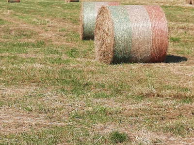 Bild 24 aus  Hof Janssen