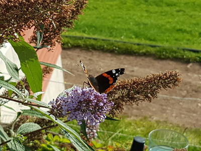 Bild 9 aus  Wendelhof