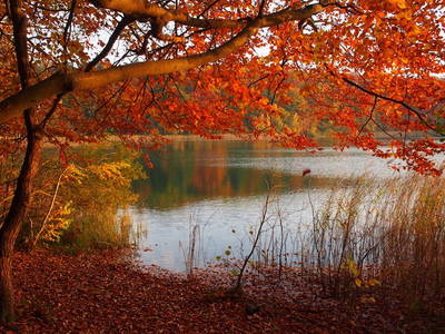 Herbst am Trünnensee