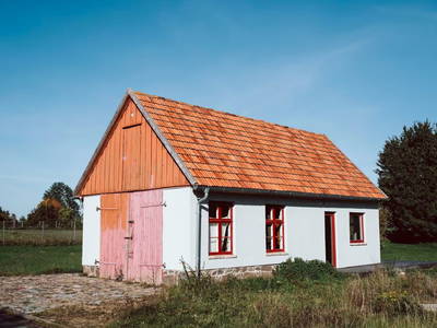 Bild 3 aus  Projektraum "Obst und Sterne"