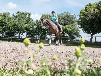 Bild 15 aus  Ferienhof Claußen