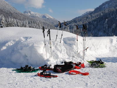 Bild 60 aus  Masererhof - Ferienbauernhof im Chiemgau