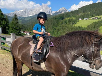 Bild 11 aus  Mittersteghof