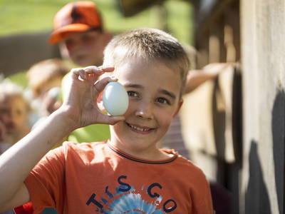 Bild 23 aus  Gerwenshof