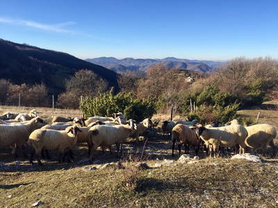 Bild 63 aus  Agriturismo Bartoli