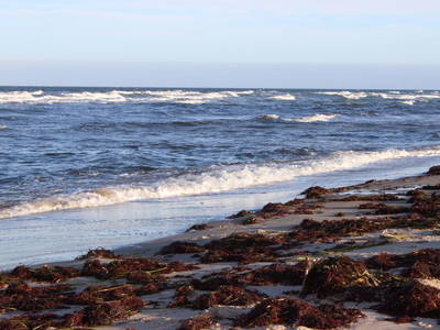 Bild 26 aus  Ferienhof Nordseeblick ****