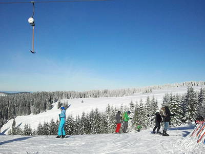 Bild 36 aus  Willkommen bei Familie Gutmann  auf dem Itzenwaldhof