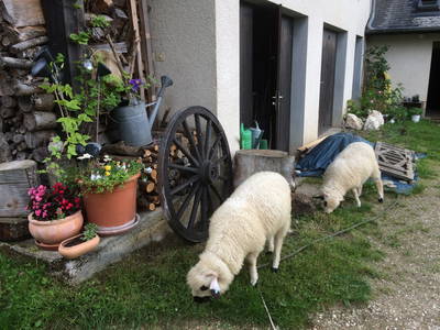 Bild 18 aus  Eselhof Le Certeau