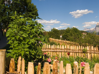 Bild 36 aus  Weidacherhof