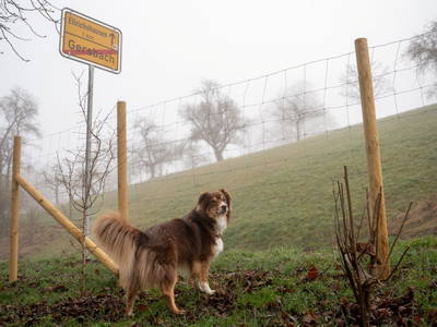 Bild 14 aus  Ferienhaus Gersmühle