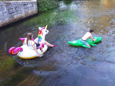 Bild 19 aus  Mühlenhof Wohlenbüttel