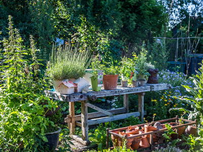 Bild 14 aus  Endlhof