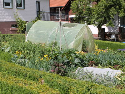 Bild 11 aus  Siefertshof