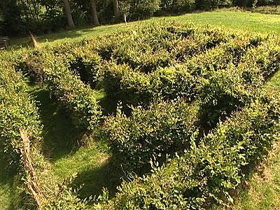 Bild 12 aus  Gut Waldhof