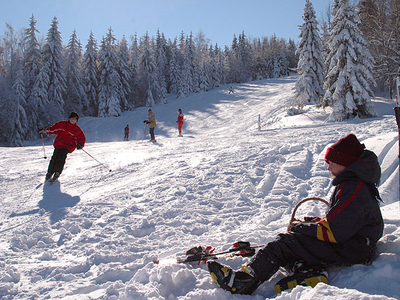 Bild 20 aus  Frongahof