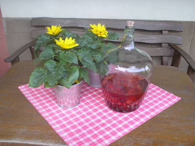 Bild 18 aus  Kempfenhof