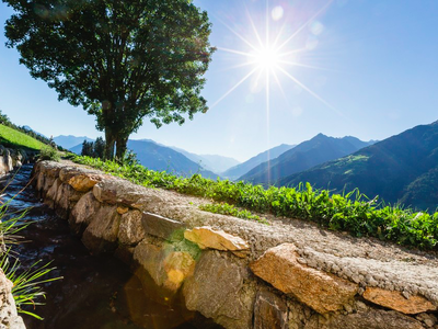Bild 54 aus  Wiesbauer - Urlaub in Schenna - Südtirol