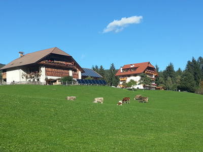 Bild 2 aus  Feichtnerhof