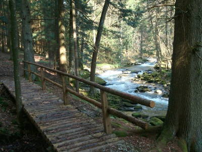 Bild 18 aus  BioFerienhof Höfler
