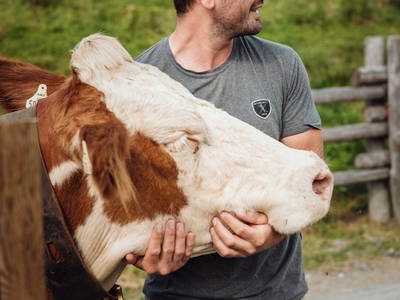 Bild 29 aus  Martenhof