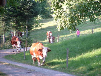 Bild 10 aus  Vorderer Klausmannshof