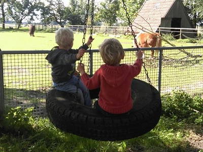 Bild 40 aus  Katrin's Ferienhof