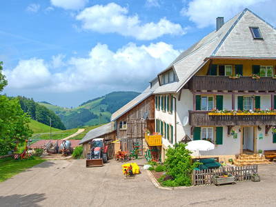 Bild 3 aus  Willkommen bei Familie Gutmann  auf dem Itzenwaldhof