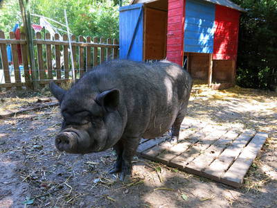 Bild 16 aus  Maison Cheval Blanc