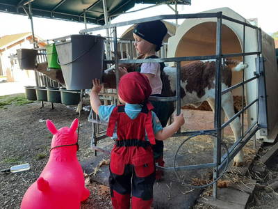 Bild 23 aus  Fuchsbauernhof