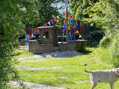 Bild 71 aus  Ferienhof Messer  Bauernhofurlaub  Ostseenähe  Ponys