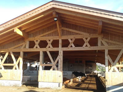 Bild 25 aus  Neu-Schötzerhof