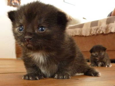 Bild 45 aus  Hof Grüneberg