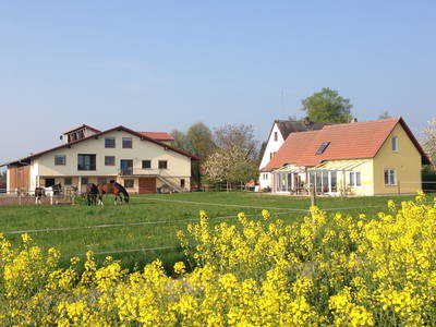 Bild 2 aus  Ferienbauernhof Gerig